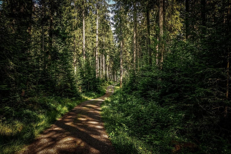 Inspirational Paths